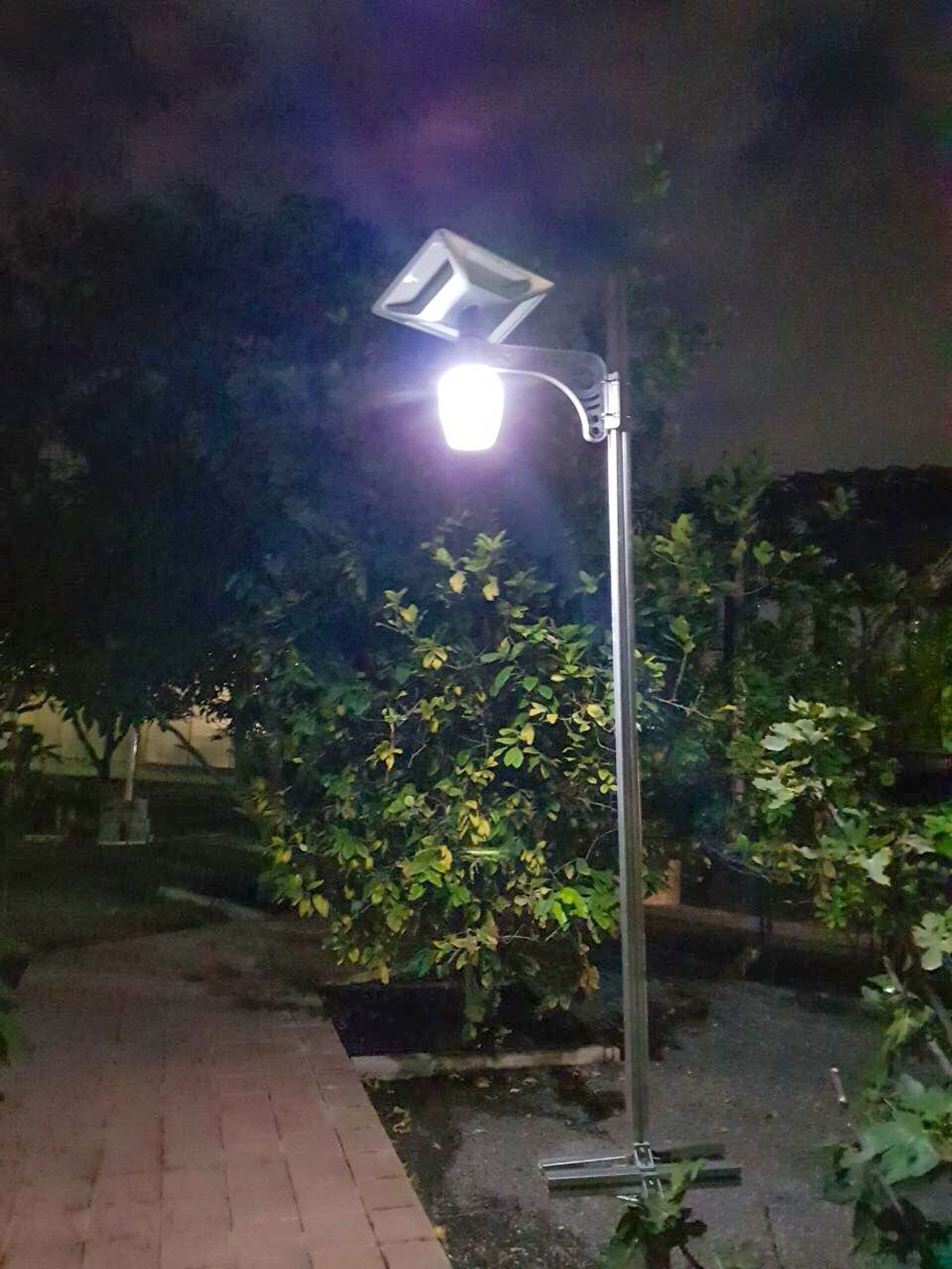 特價太陽能蘋果燈，5年超長質(zhì)保，家庭照明首選！