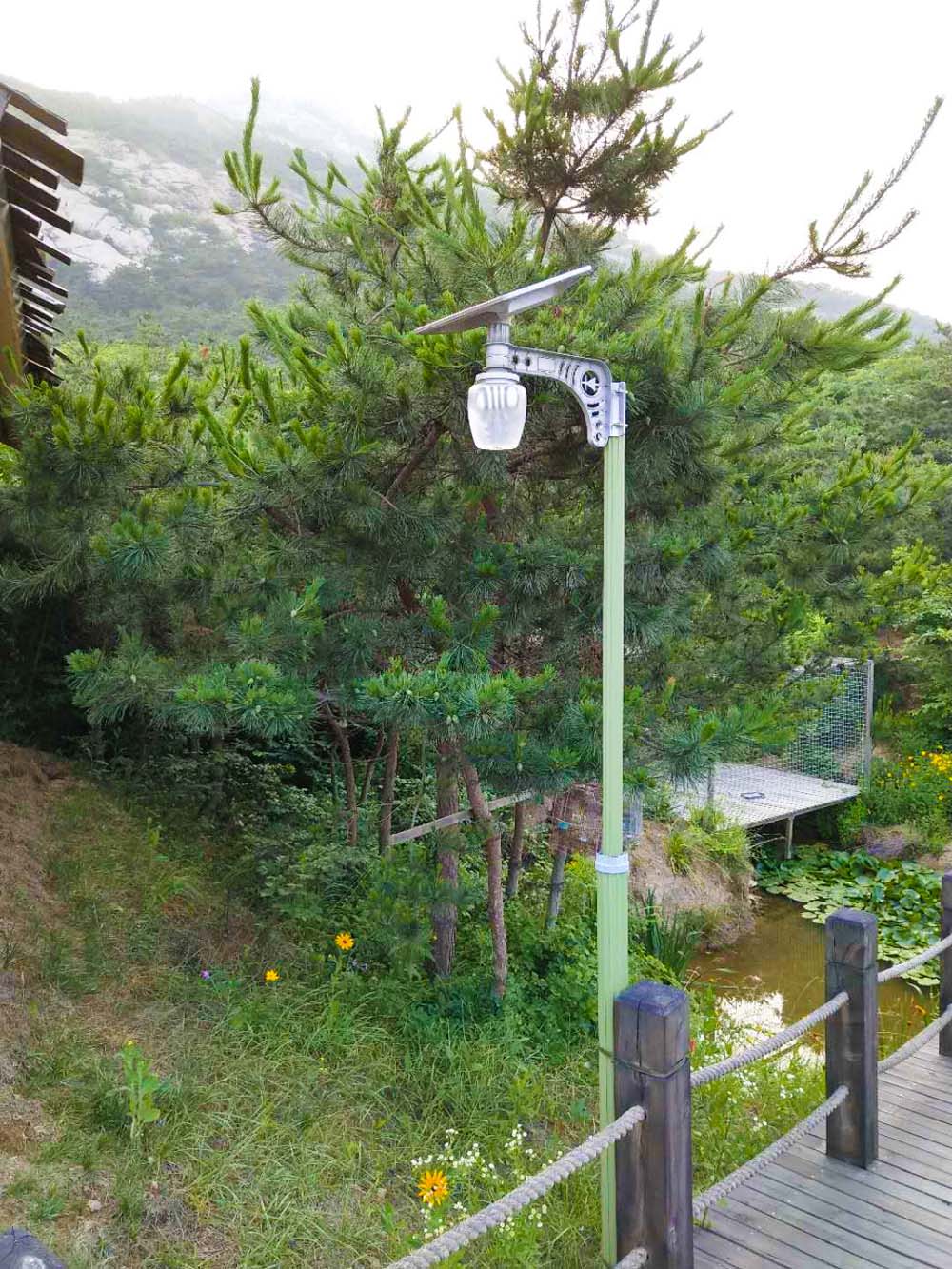 特價太陽能蘋果燈，5年超長質(zhì)保，家庭照明首選！